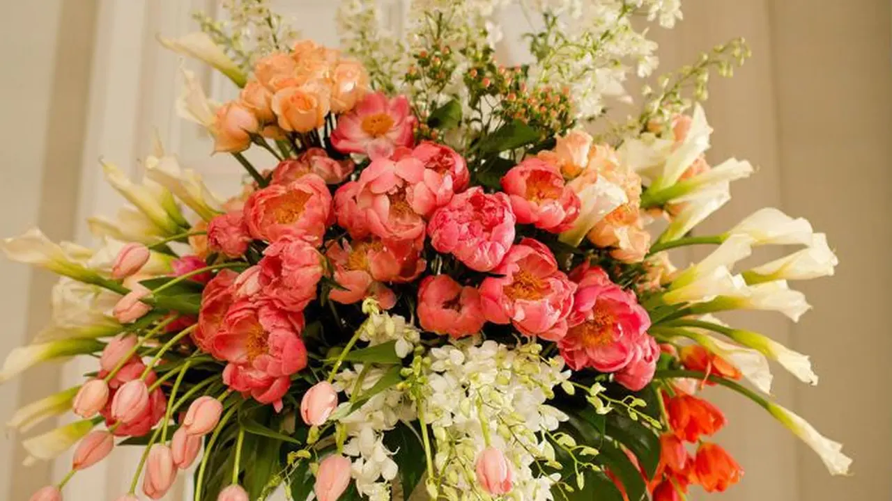 pork chops with cream sauce